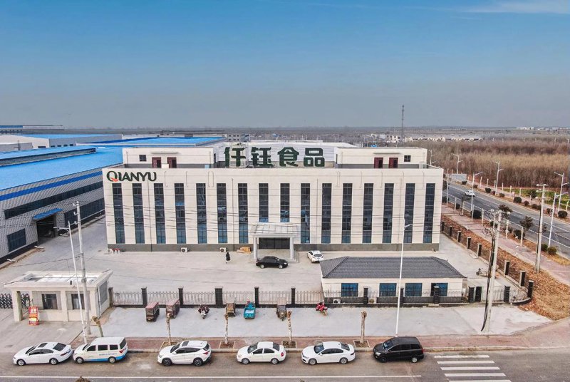 批发新路径：宿迁市场的探索与发现